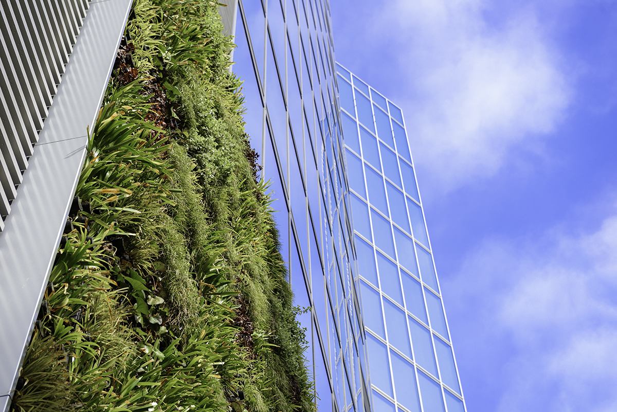 Leading ​the Way in Sustainability​